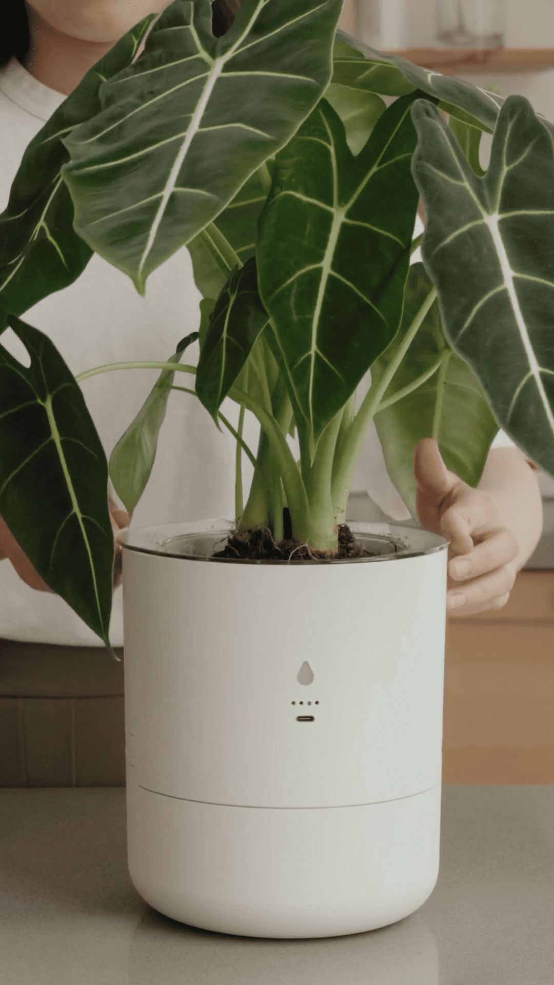 LeafyPod smart planter